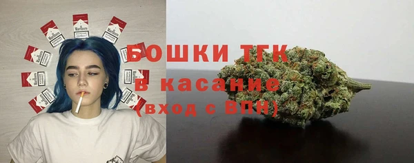 твердый Бородино