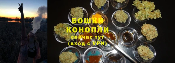 соль ск Верея