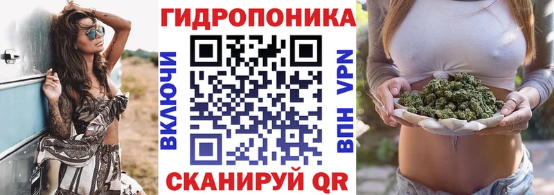 магазин продажи наркотиков  Клинцы  Марихуана Bruce Banner 